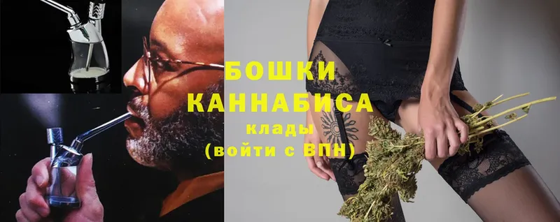 Конопля Ganja  Кировград 